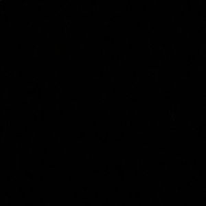 Meet your Posher, Rowan